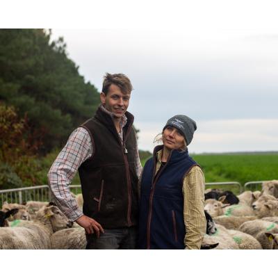 Longhorn Shearing Gilet